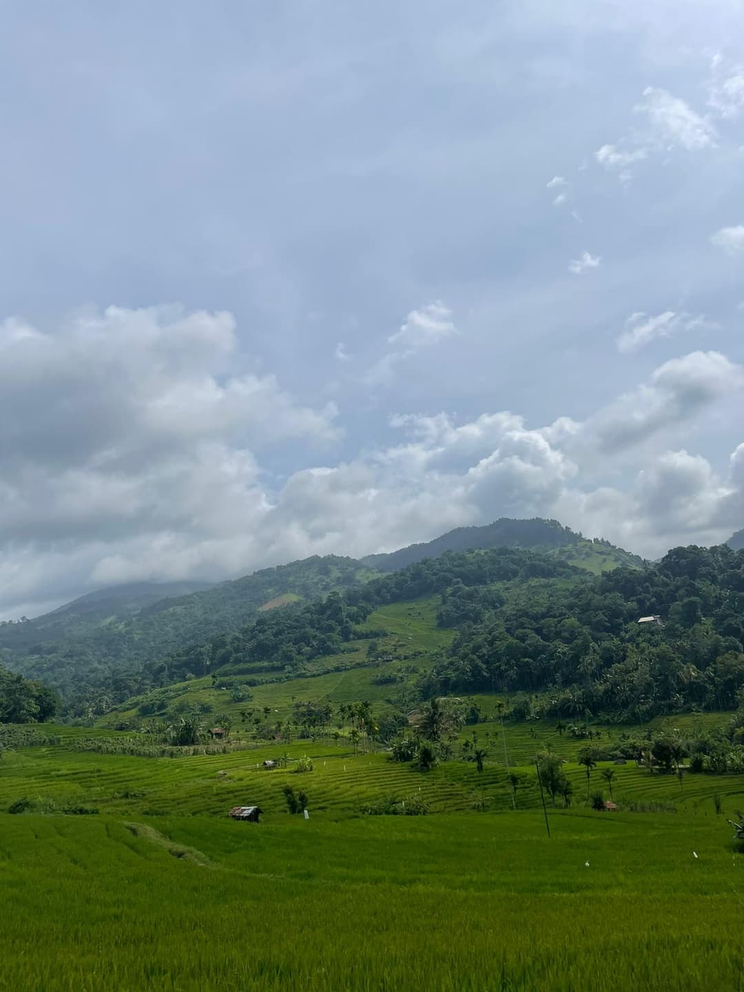 Kandy Landscape
