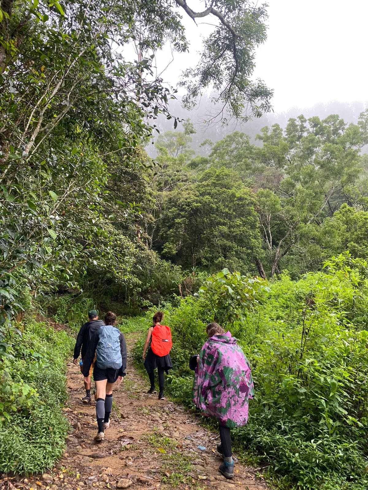 Trekkers enjoying beautiful mountain views in Knuckles Range