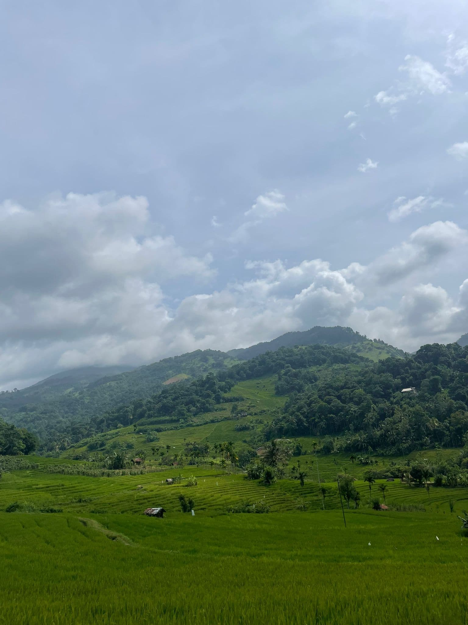 Knuckles Mountain Range