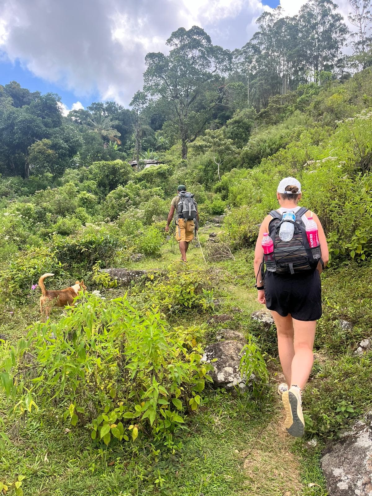 Knuckles Trekking